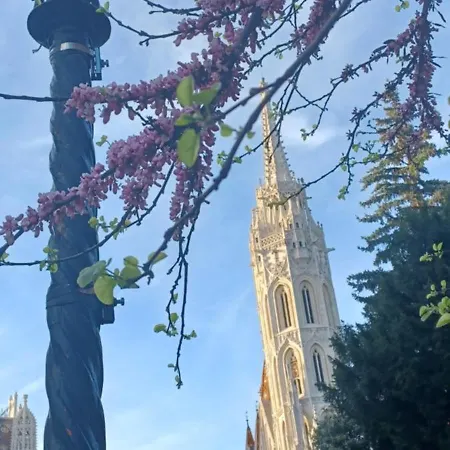 Palace Appartement *